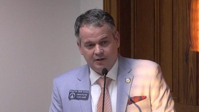 Senate committee backs Georgia tourism study