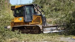 Savannah-area mill closings will affect jobs, timber industry
