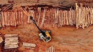 State lawmakers asking Congress to open timber trade with Asia
