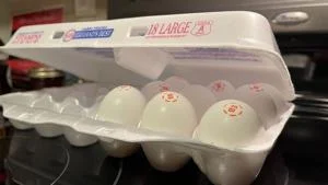 Georgia preparing for additional SNAP costs