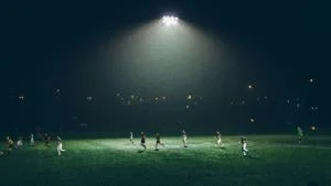 World Cup: Economic impact equation includes displaced regular tourism
